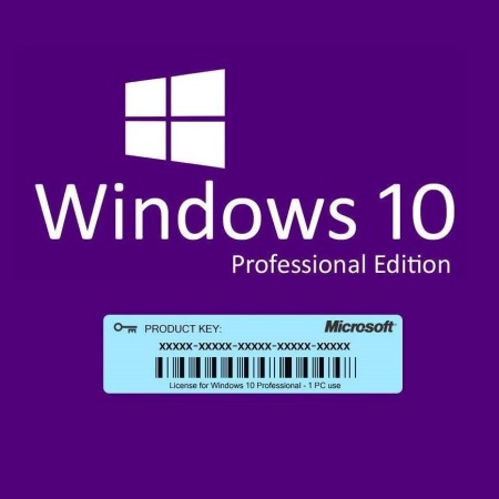 Windows 10 Professional Lizenz-Key